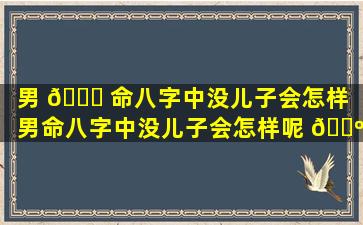 男 🐝 命八字中没儿子会怎样（男命八字中没儿子会怎样呢 🌺 ）